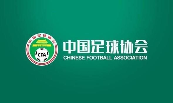 《我的瑜伽老师》
